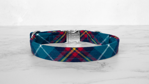 Dog Collar and Lead, Tartan with a Twist - Turquoise and Red