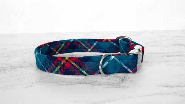 Dog Collar and Lead, Tartan with a Twist - Turquoise and Red