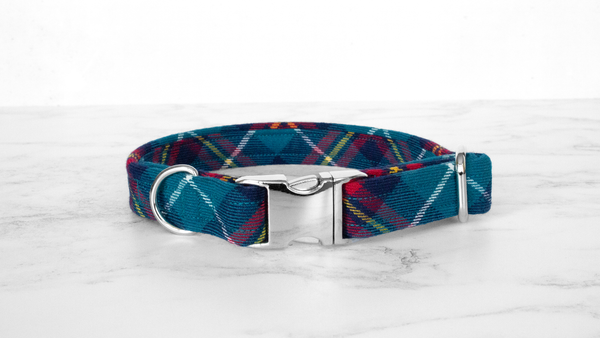 Dog Collar and Lead, Tartan with a Twist - Turquoise and Red