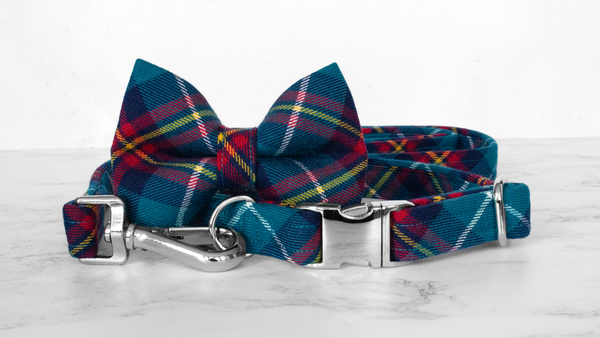 Dog Bow Ties, Tartan with a Twist - Turquoise and Red