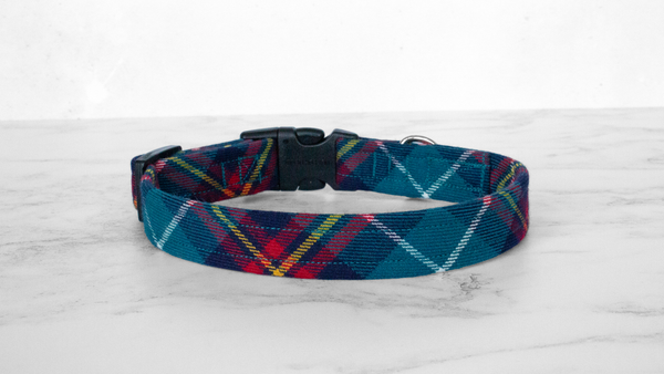 Dog Collar and Lead, Tartan with a Twist - Turquoise and Red