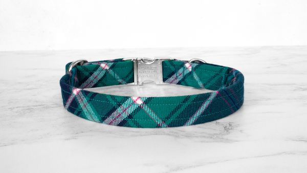 Dog Collar and Lead, Tartan with a Twist - Turquoise and Pink