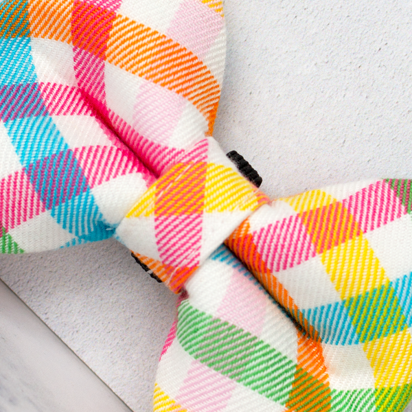 Dog Bow Ties, Tartan with a Twist - White Rainbow