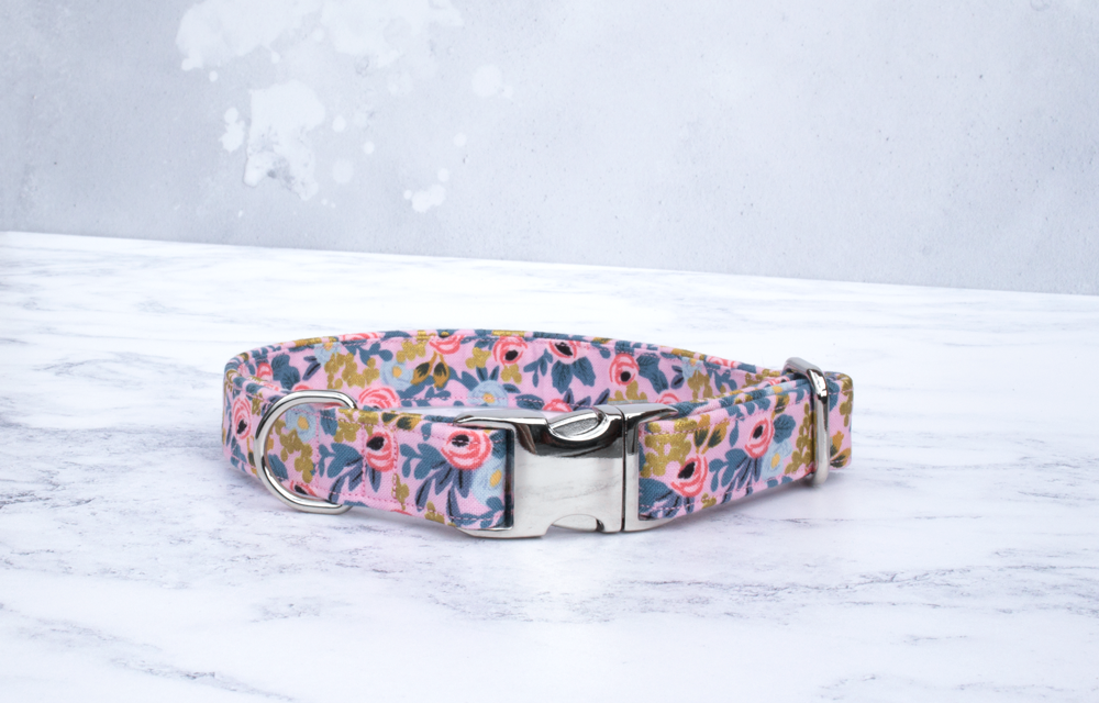 Rifle paper 2024 co dog collar
