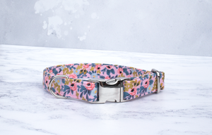Paper online puppy collars